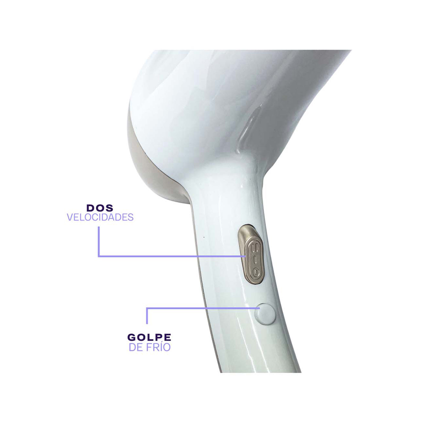 Secador Para Cabello Personal Viajero CMS Cosmos Canes Dorado Edición Limitada