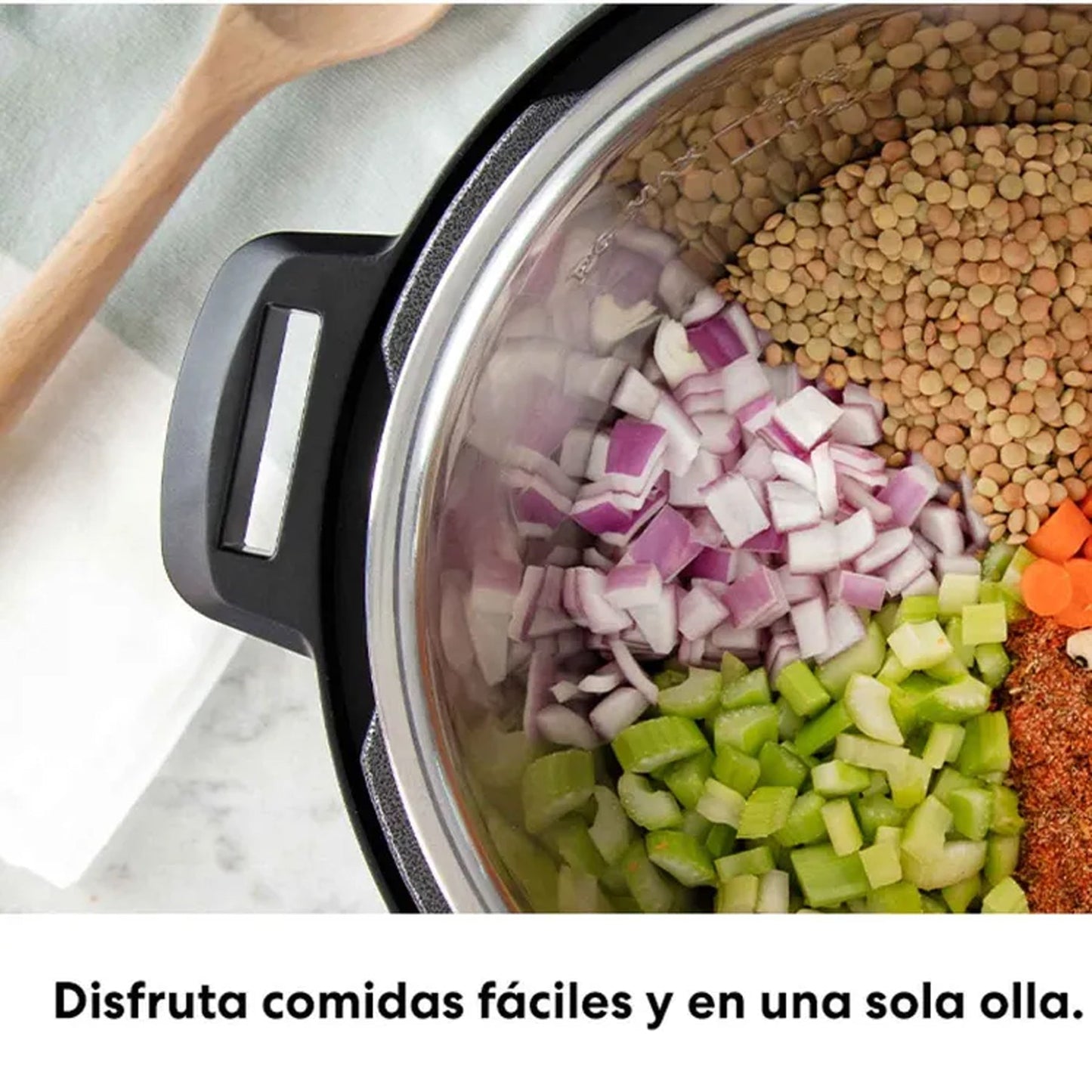 Olla Multifuncional Instant Pot Dúo 60 GRIS 5.7 Litros